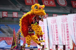 舞龙舞狮